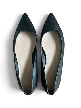 Women’s Stuart Weitzman Pointed Toe Ballet Flats